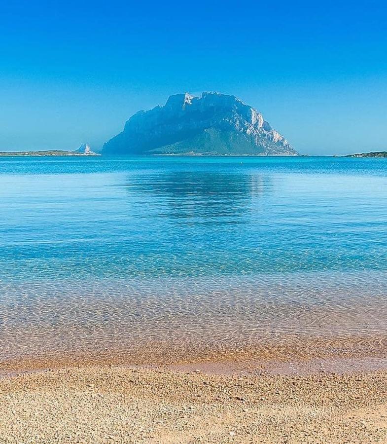 Olbia Center Regina Elena 49 King Apartment ภายนอก รูปภาพ